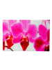 MCW Glasbild T117, Orchidee