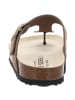 Josef Seibel Pantolette in braun