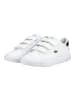 Lacoste Sneaker POWERCOURT Weiß/Schwarz