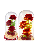 Wisam® Ewige Rose Glaskuppel LED Rot Deko 21,5 cm