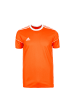 adidas Performance Fußballtrikot Squadra 17 in orange / weiß