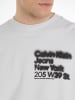 CALVIN KLEIN JEANS Sweatshirt in ghost grey