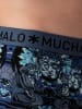 Muchachomalo 3er-Set: Boxershorts in Multicolor