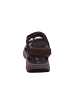 Clarks Herrensandalette Trecking  in  Braun