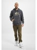 Alpha Industries Alpha Industries Kapuzenpullover in grey