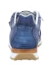 Cetti Sneaker in blau