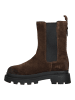 BLAUER USA Stiefelette in Dunkelbraun