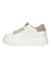 Gabor Sneaker in Latte