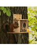 relaxdays Eichhörnchen Futterhaus in Natur