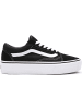 Vans Sneaker in Schwarz