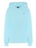 Chiemsee Sweatshirt in Blau