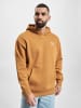 Puma Kapuzenpullover in brown