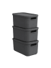 Rotho Box 12 l 3tlg. ALBULA LIGHT