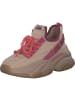 Steve Madden Schnürschuhe in BLUSH/CORAL MULTI