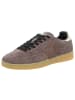 Sun68 Sneaker Low in braun