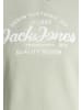 JACK & JONES Junior Hoodie 'Forest' in grau