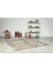 Vivorum Wohnzimmer Teppich – Kurzflorteppich Catcher 125 in silber - beige