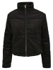 Urban Classics Outdoor Jacket in black