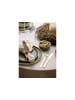 Studio Round Schale North in Matte moss/Matte white
