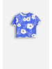 Coccodrillo T-Shirt mit kurzem Ärmel in kobaltblau