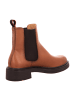 LLOYD Chelsea Boots in Braun