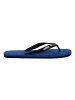 Arena Badesandale Hook in Blau
