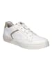 Josef Seibel Sneaker Fred in weiss-beige