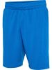 Hummel Hummel Shorts Hmlte Training Herren Feuchtigkeitsabsorbierenden in DAPHNE