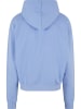STARTER Sweat & Fleece - Hoody in carolinablue