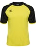 Hummel T-Shirt Raglanärmel Hmlmatch Erwachsene in BLAZING YELLOW/BLACK