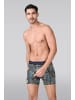 Muchachomalo 3er-Set: Boxershort in Mehrfarbig - für Herren