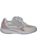 Gabor Comfort Schnürschuhe in oasi/ivory kombi