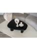 ebuy24 Couchtisch Tirano Schwarz 78 x 96 cm