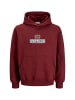 JACK & JONES Junior Hoodie 'Frederiksberg' in braun