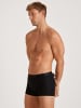 Calida New Boxer in schwarz