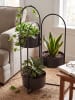 Beliani Indoor Blumentopf COLUTENA in Schwarz - (W) 56 x (H) 75 x (L) 26 cm