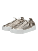 Högl Sneaker in Bronze