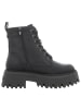 Buffalo Stiefeletten in schwarz
