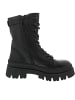 Steve Madden Fezza Schnürstiefel Schwarz