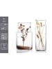 Ritzenhoff & Breker 4er Set Vasen Dalia 30 cm in transparent