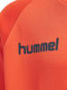 Hummel Hummel Sweatshirt Hmlpromo Multisport Kinder in NASTURTIUM **DO NOT USE
