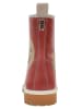 Dogo Boots Tom & Jerry WB 36 in Rot