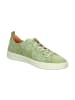 Think! Sneakers Low TURNA in Aloe/Kombi