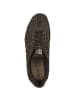 Geox Sneaker low U Snake Original in dunkelbraun