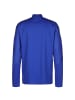 adidas Performance Sweatshirt Juventus Turin in blau / gelb