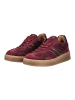 Gabor Sneaker Rot