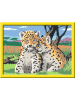 Ravensburger Malprodukte CreArt, Malen nach Zahlen Kinder - Kleine Leoparden Malen nach Zahlen Kinder Ab 9 Jahre in bunt