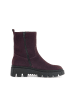 Gabor Biker Boots in lila