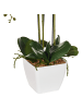 Beliani Kunstpflanze ORCHID in Grün/Weiß - (W) 22 x (H) 59 x (L) 22 cm