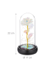 relaxdays Ewige Rose - (H)22 x Ø 11 cm
